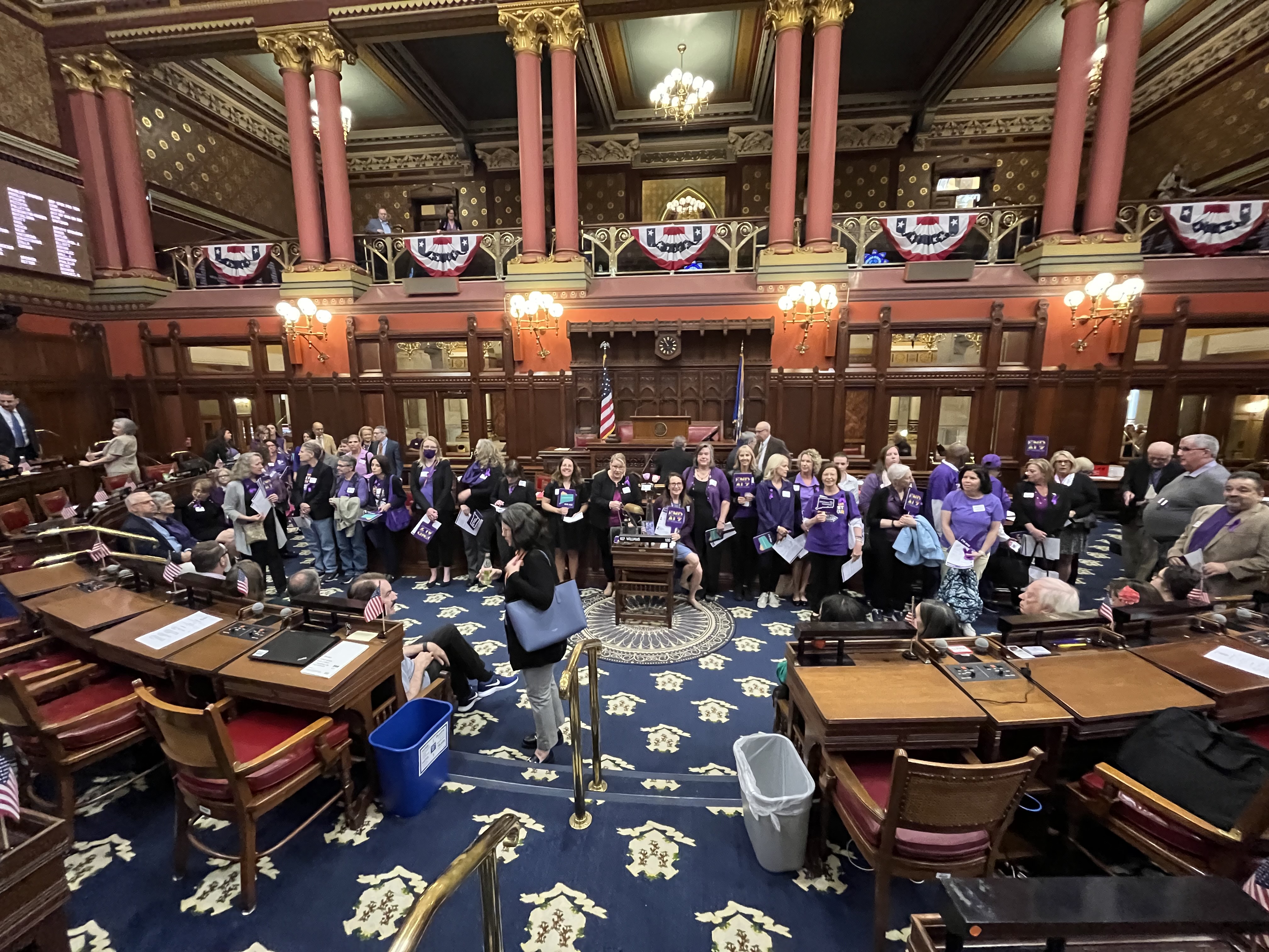 Lisa Marshall advocacy