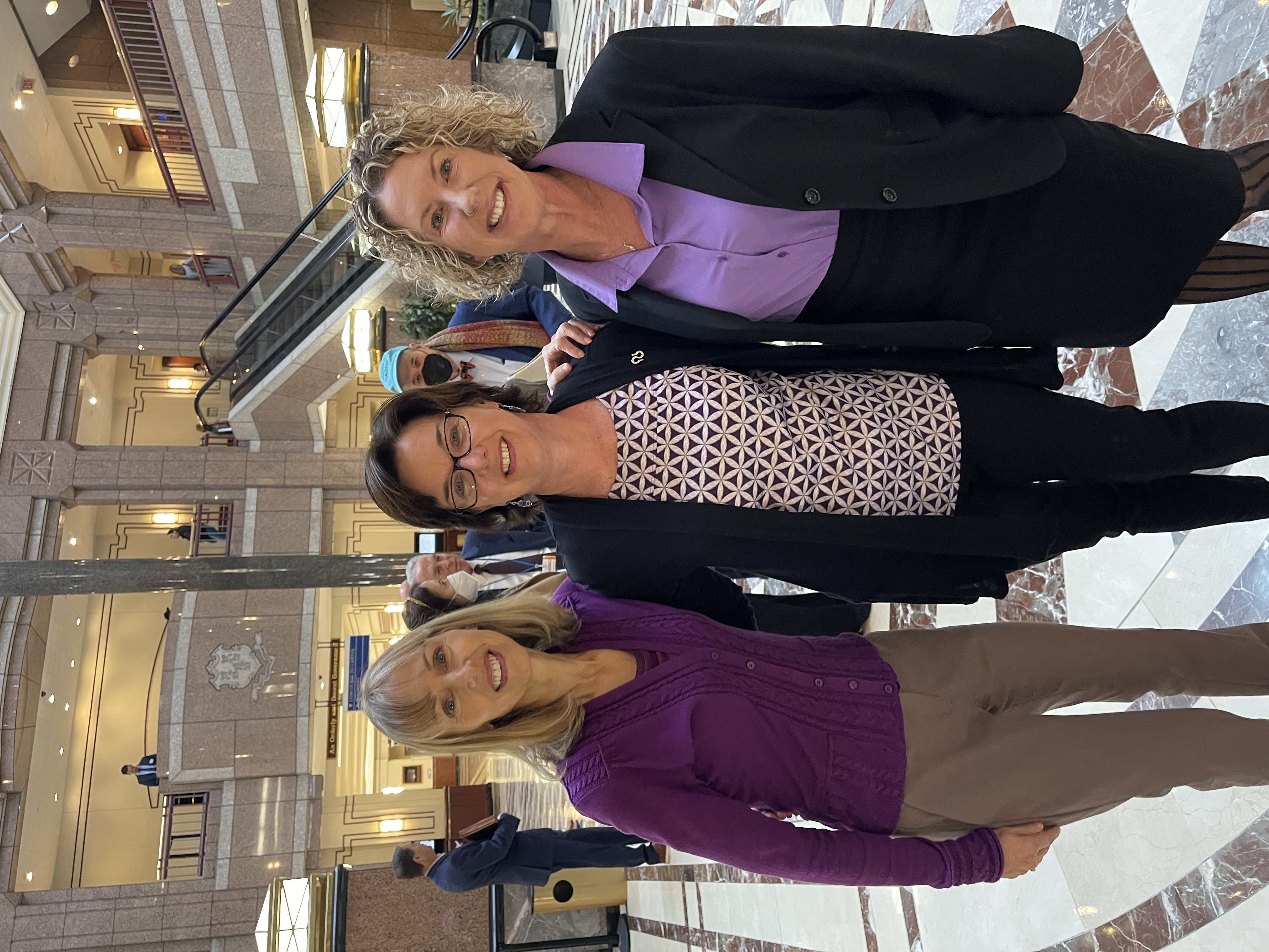 Lisa Marshall advocacy